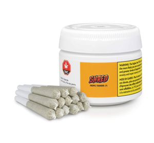 Shred - Tropic Thunder J's -Pre Roll 14x0.5G