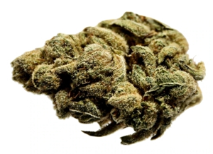 Potluck  Orange Layer Cake 7G