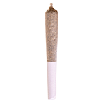 Station House - Ghost Train Haze Pre-Roll - Sativa - 1x0.5g