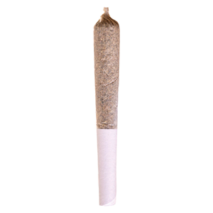 Potluck - Apple Fritter Pre-Roll - Indica - 1x0.5g