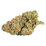 Back Forty - Mandarin Cookies - Sativa - 7g