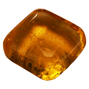 Plush - Golden Silk Infused Soap - Hybrid - 20g