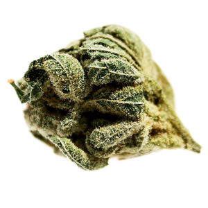 Potluck  Pineapple Express 7G