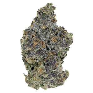 Pistol and Paris - Blackout Bobby - Indica - 7g