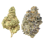 Snicklefritz - Candi Gas Mixed Pack - Froot Stripez & Gas Tingz - Indica - 7g
