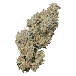 HighXotic - Royal Dive#1: Black Mountain Side - Indica - 14g