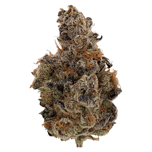 Full Sesh - LA RNTZ - Hybrid - 7g