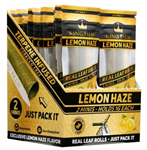 King Palms  2 Mini Rolls Lemon Haze