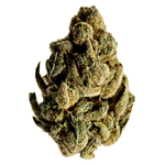 Potluck - Candy Cane Kush - Hybrid - 7g