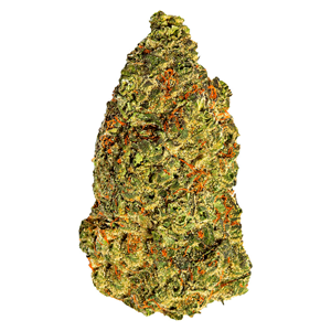 South Point - Turbo Diesel - Hybrid - 14g